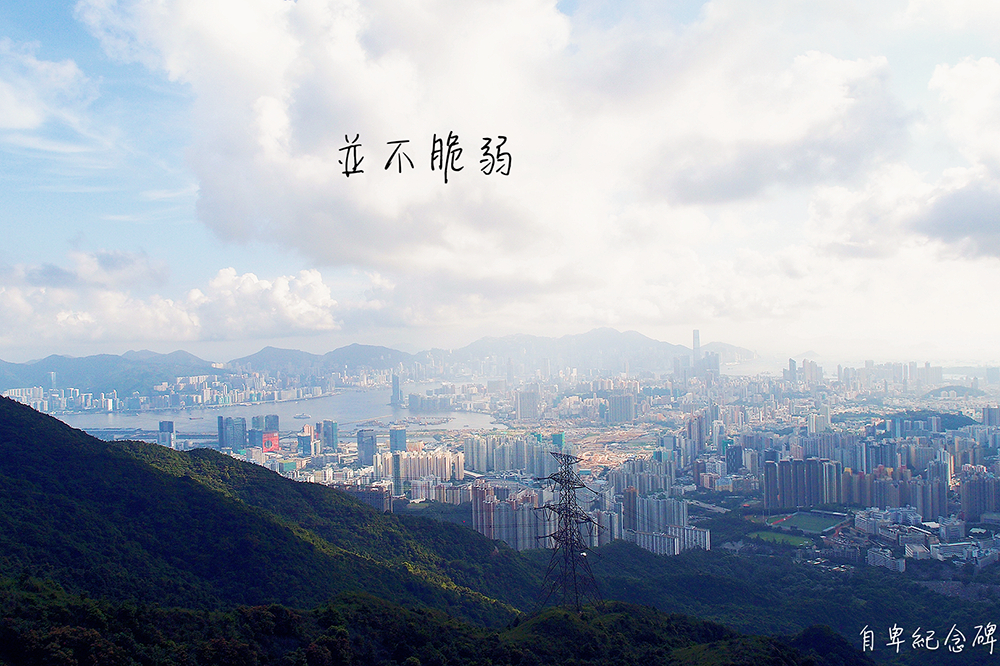 並不脆弱 並不脆弱