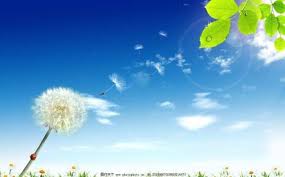 納米百合之210 - 隔離 納米百合之210 - 隔離