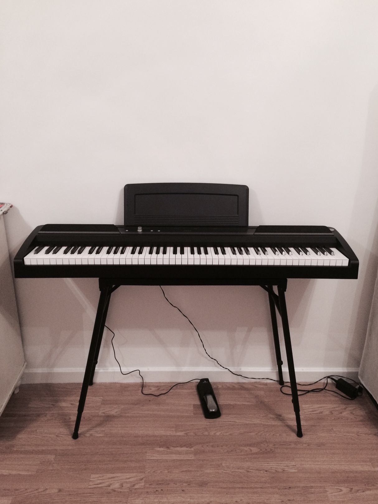 經過一些秋與冬,只知感覺失了蹤 經過一些秋與冬,只知感覺失了蹤