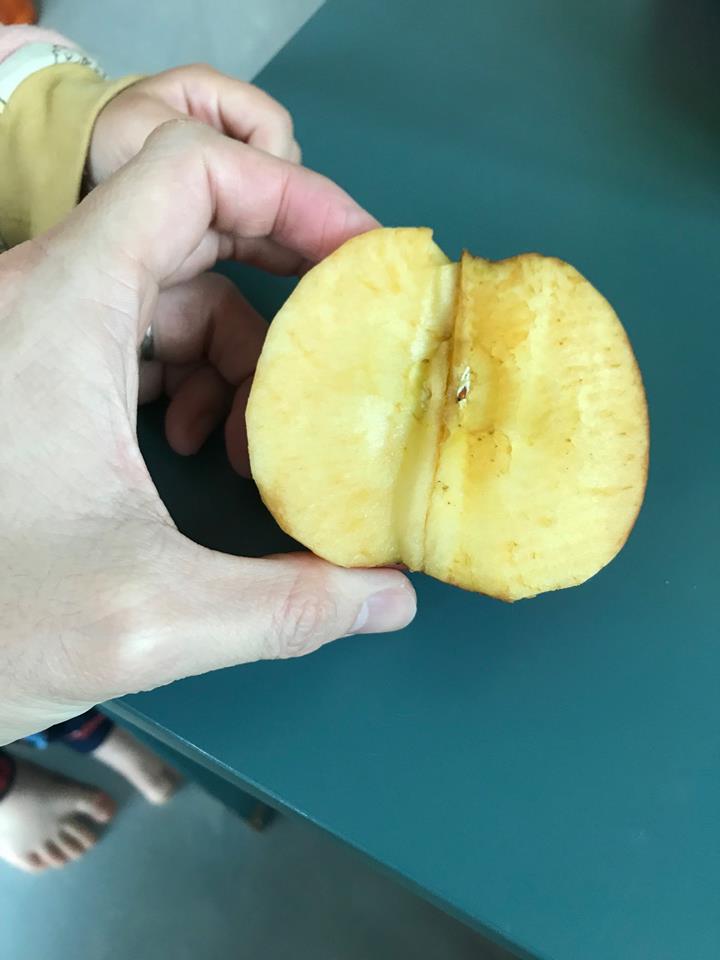 半個蘋果